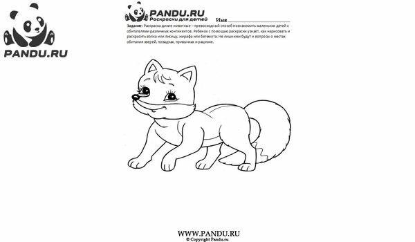 Раскраска Дикие животные. Задание 2.
