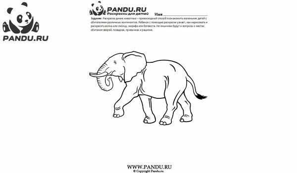 Раскраска Дикие животные. Задание 22.