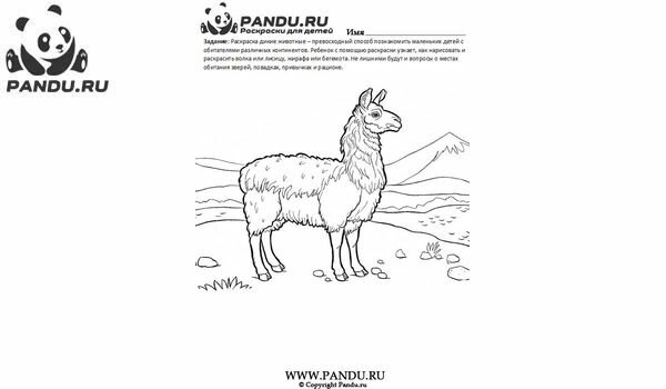 Раскраска Дикие животные. Задание 23.