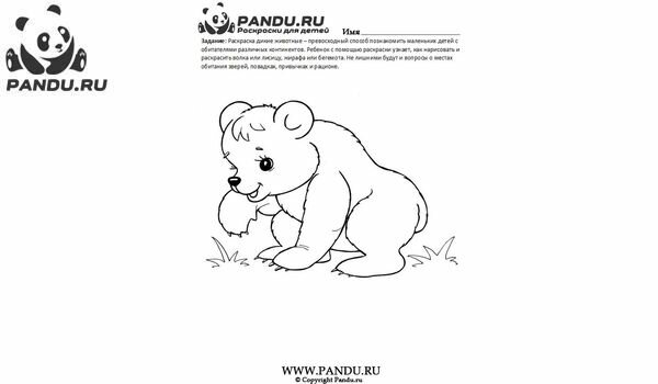Раскраска Дикие животные. Задание 3.