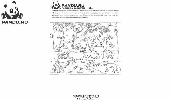 Раскраска Дикие животные. Задание 5.