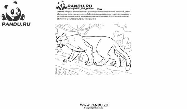 Раскраска Дикие животные. Задание 8.