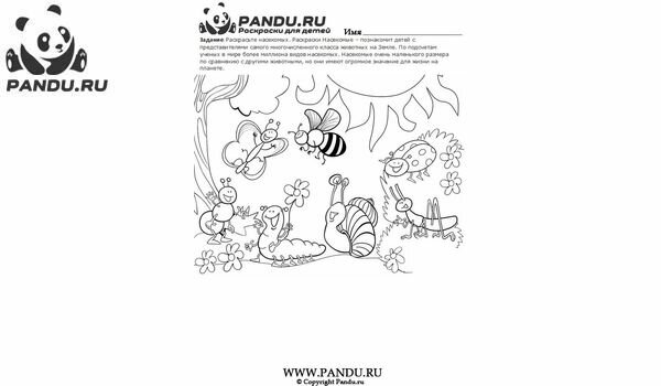 Раскраска Насекомые. Задание 11.