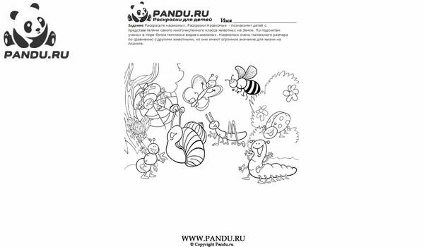 Раскраска Насекомые. Задание 14.
