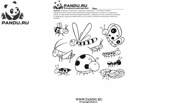 Раскраска Насекомые. Задание 17.