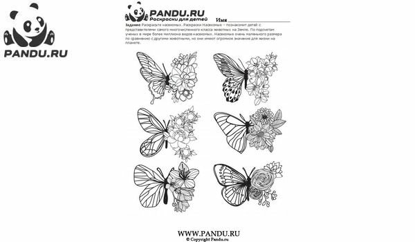 Раскраска Насекомые. Задание 22.