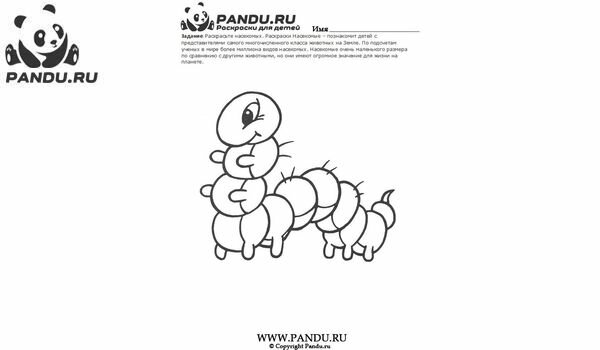 Раскраска Насекомые. Задание 7.
