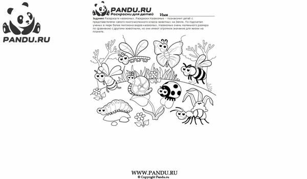 Раскраска Насекомые. Задание 9.