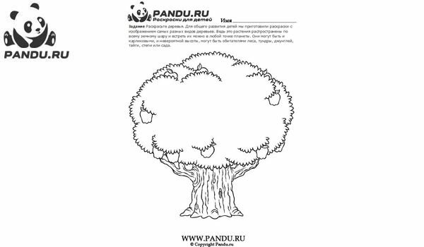 Раскраска Деревья. Задание 20.
