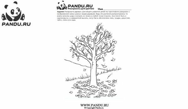 Раскраска Деревья. Задание 22.