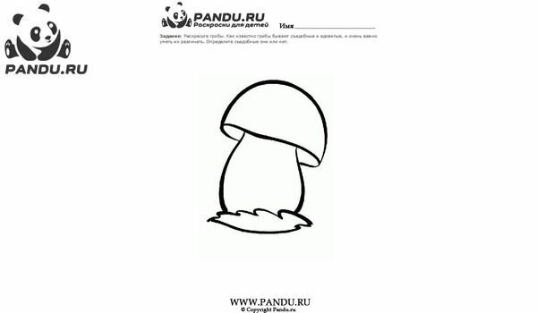 Раскраска Грибы. Задание 1.