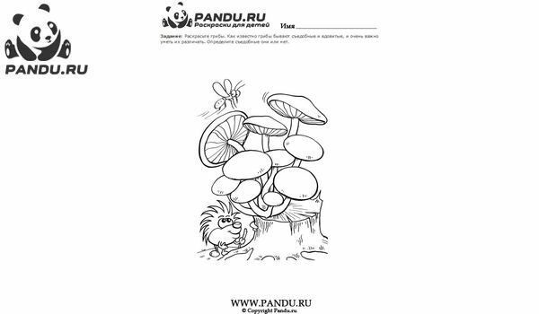 Раскраска Грибы. Задание 11.