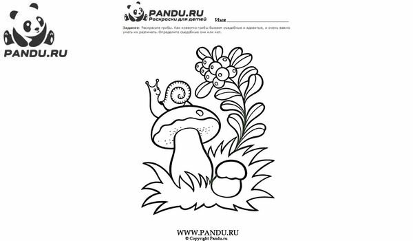 Раскраска Грибы. Задание 12.