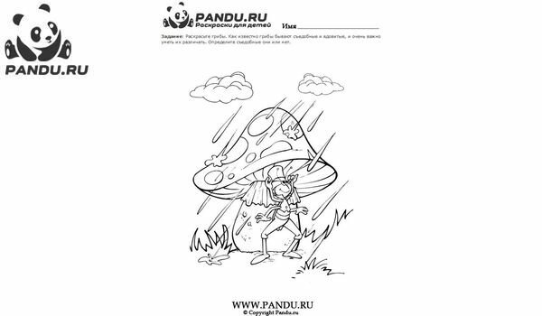 Раскраска Грибы. Задание 13.