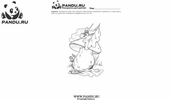 Раскраска Грибы. Задание 14.