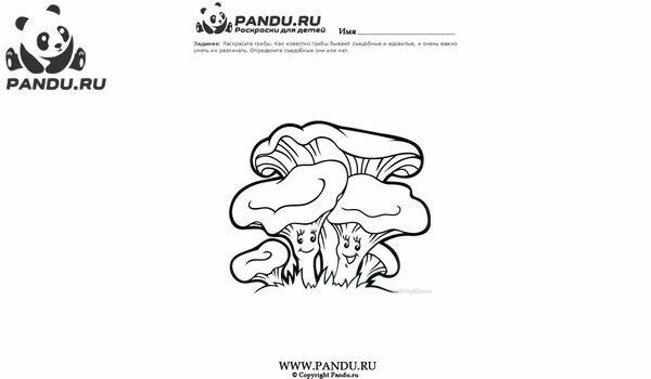 Раскраска Грибы. Задание 16.