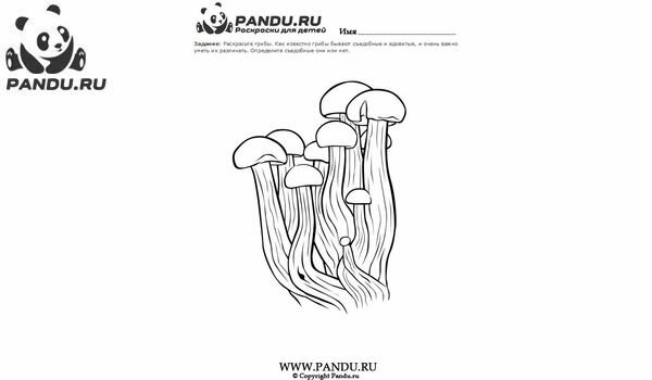 Раскраска Грибы. Задание 17.