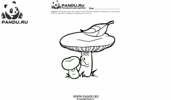 Раскраска Грибы. Задание 18.