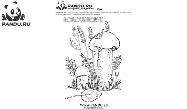 Раскраска Грибы. Задание 19.