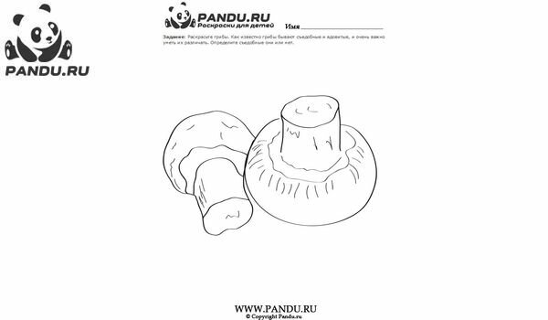 Раскраска Грибы. Задание 20.