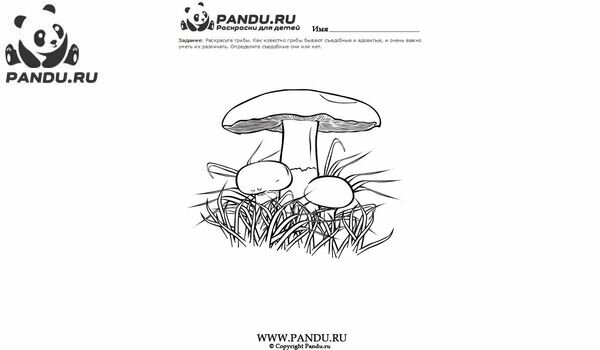 Раскраска Грибы. Задание 21.