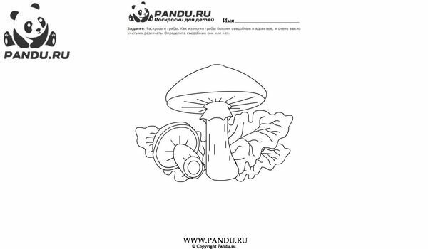 Раскраска Грибы. Задание 24.