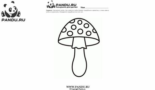 Раскраска Грибы. Задание 4.