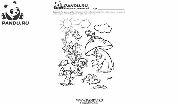Раскраска Грибы. Задание 6.